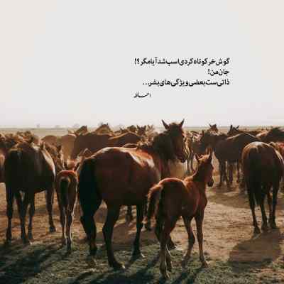 دانلود آهنگ  قبری برای خودت بخر کنار اون خوشگل پسر