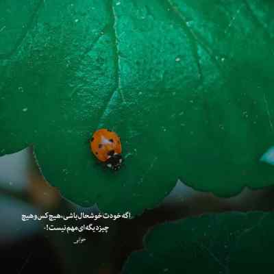 دانلود آهنگ  غم با من زاده شده منو رها نمی کنه