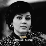 دانلود آهنگ هوش مصنوعی چشامو بستم تا حالمو نبینه با صدای هایده
