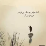 دانلود آهنگ همایون شجریان عشق پاک