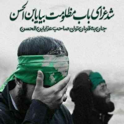 دانلود مداحی یا حسین غریب مادر تویی ارباب دل من نریمان پناهی دانلود آهنگ یا حسین غریب مادر تویی ارباب دل من نریمان پناهی