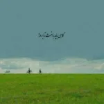 دانلود آهنگ محمد رضا شجریان تو میروی به سلامت سلام ما برسانی