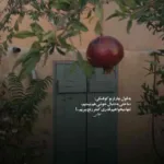 دانلود آهنگ مهرداد مهان دلبر جانم