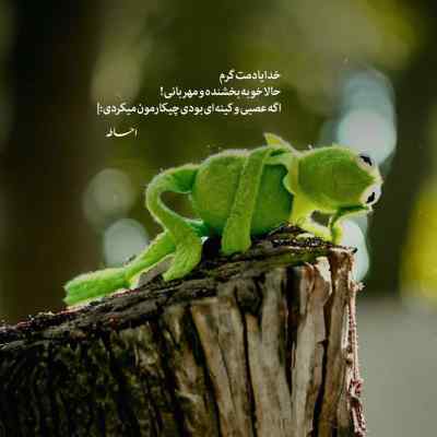 دانلود آهنگ  میدونی من یه برگم رو به مرگم