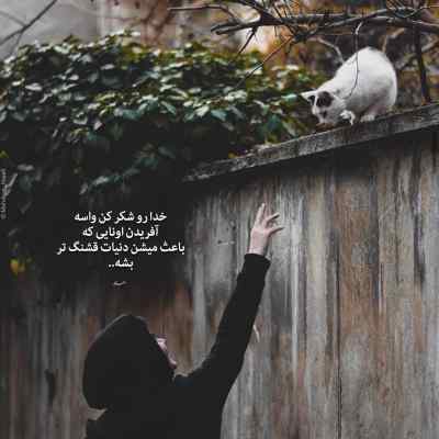 دانلود آهنگ من که خواستم تورو عاشق بکنم اما نشد با صدای معین و شادمهر دانلود آهنگ من که خواستم تورو عاشق بکنم اما نشد با صدای معین و شادمهر