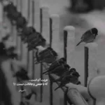 دانلود آهنگ محمدرضا شجریان غم زمانه خورم یا فراق یار کشم
