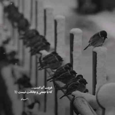دانلود آهنگ  غم زمانه خورم یا فراق یار کشم