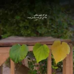 دانلود آهنگ اوزوک الام جوت الام الام بوینوا سالام ترکی