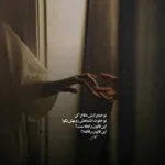 دانلود آهنگ میگفتی بری رگامه زدم بخاطر تو با صدای پیام عباسی
