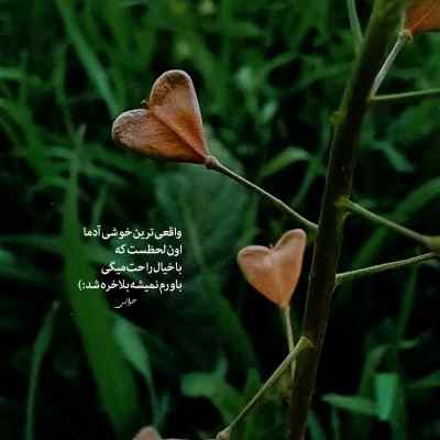 دانلود آهنگ  تو امنی برام حتی بدون الف
