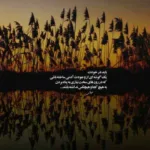 دانلود آهنگ تو همانی که رگ خواب مرا میدانی