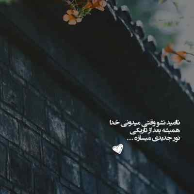 دانلود آهنگ  تو واسه من جونی و درمونی تموم زندگیمی