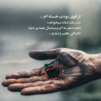 دانلود آهنگ  یه روز برام گل میاری