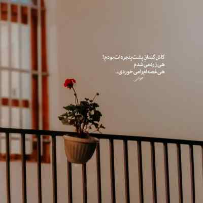 دانلود آهنگ  سینجیم برو
