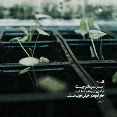 دانلود آهنگ  مستی هم درد منو دیگه دوا نمی کنه