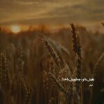 دانلود آهنگ میدونی من یه برگم روبه مرگم مسلم فتاحی