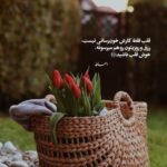 دانلود آهنگ د کنج ای دل قایمی از وحید موسوی لری