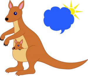 دانلود آهنگ  کان کان کانگورو تو عکسا دیدم تورو