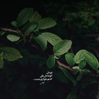 دانلود آهنگ  اگر قیامت قصه باشد تورو من کجا ببینم