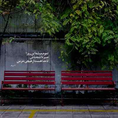 دانلود آهنگ  اهای نیلوفر من حریف تو نمیشه این دل بیچاره ی من