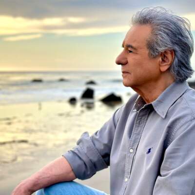 دانلود آهنگ  سلطان قلبها با صدای عارف