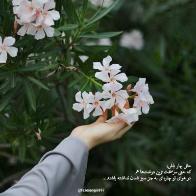 دانلود آهنگ  آرزوهام برا تو نرسیدن برا من با صدای سارن و سامی لو