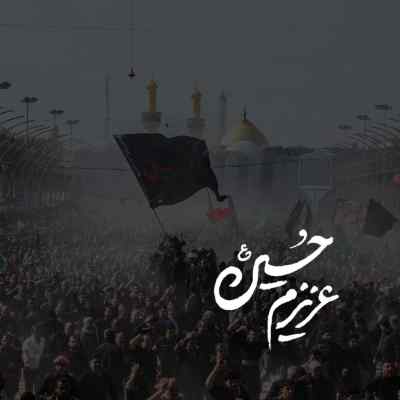 دانلود آهنگ  از حرم تا قتلگه زینب صدا میزد حسین