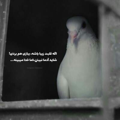 دانلود آهنگ بغل کن و بچسب بهم بکش دوباره دست بهم دانلود آهنگ بغل کن و بچسب بهم بکش دوباره دست بهم