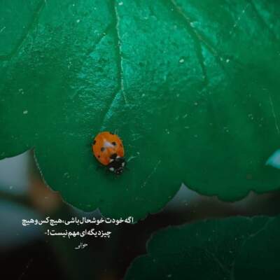 دانلود آهنگ  به کسی هواسم نیست