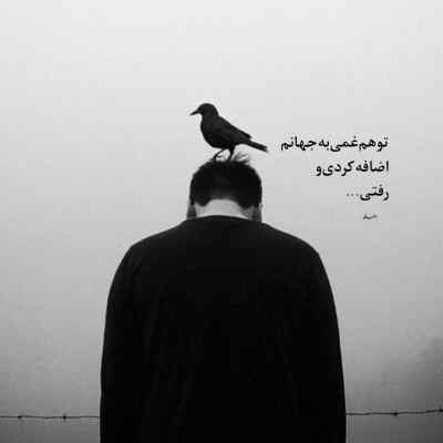 دانلود آهنگ  لابد دوسش داشتی از شادمهر و هایده و محسن چاوشی