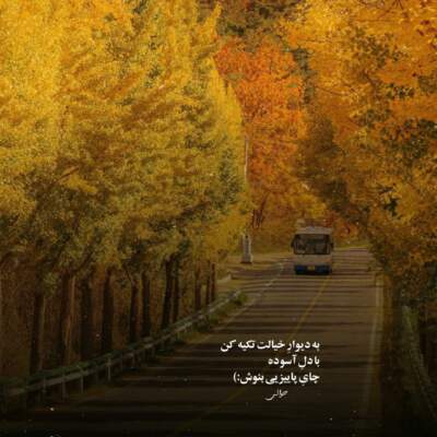 دانلود آهنگ  چقدر امشب دلم واسه تو پر میزنه اینستاگرام