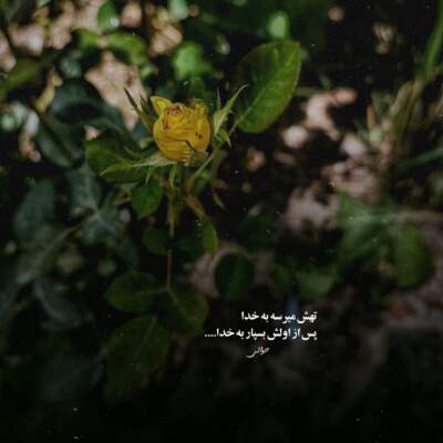 دانلود آهنگ درو باز کن زدبازی دانلود آهنگ درو باز کن زدبازی