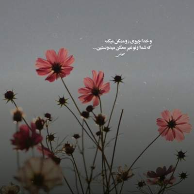 دانلود آهنگ  دلم به عشق تو بد گیره