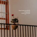 دانلود آهنگ فاضل دریس قلبم آرومه کم نذاشتم که هرچیم بودم دوست داشتم که