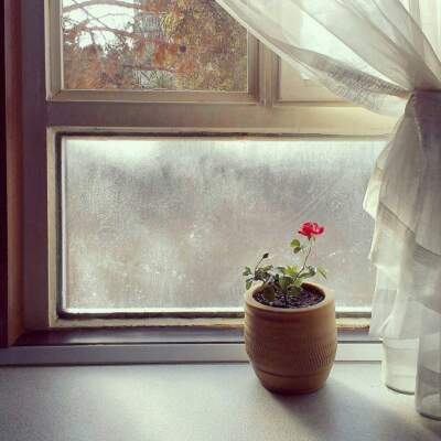 دانلود آهنگ  غریبی کشیدم نبودی از فرهاد جهانگیری