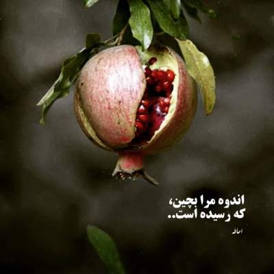 دانلود آهنگ  میشه دستات مال من بشه با صدای هایده و مهستی هوش مصنوعی