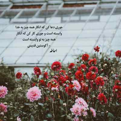 دانلود آهنگ جینگ و جینگه حامد فقیهی دانلود آهنگ جینگ و جینگه حامد فقیهی
