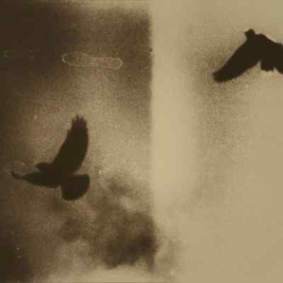 دانلود آهنگ ﻛﺎش بیای از ﻓﺮدا قطع ﺑﺸﻪ ﺳﺮدردام دانلود آهنگ ﻛﺎش بیای از ﻓﺮدا قطع ﺑﺸﻪ ﺳﺮدردام