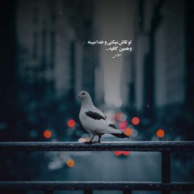 دانلود آهنگ کجا بودی تا الان دیر همو پیدا کردیم با صدای محمد اینستا دانلود آهنگ کجا بودی تا الان دیر همو پیدا کردیم با صدای محمد اینستا