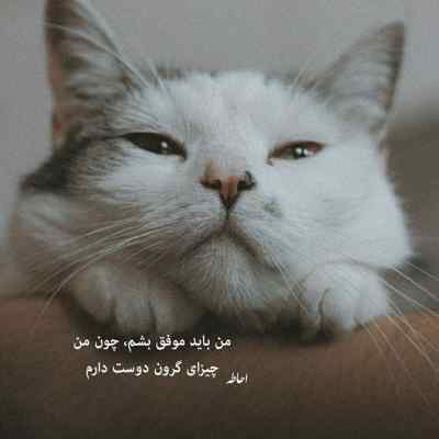 دانلود آهنگ مثلا روم زوم کنی بوم بوم کنه قلبم دانلود آهنگ مثلا روم زوم کنی بوم بوم کنه قلبم