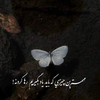 دانلود آهنگ  ساز و آواز