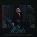 دانلود آهنگ ناصر زینعلی ماهی