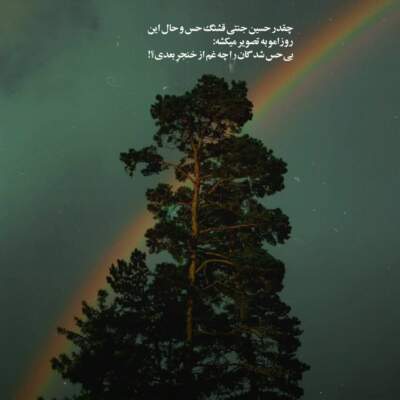 دانلود آهنگ  پاسبان حرم دل شده ام محمدرضا شجریان