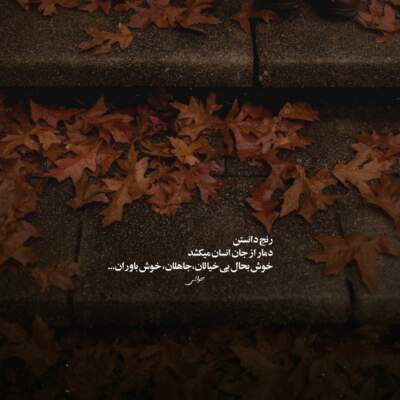 دانلود آهنگ  نه جونمو بگیر نه پای من بمیر منو همیشه زندگی زده