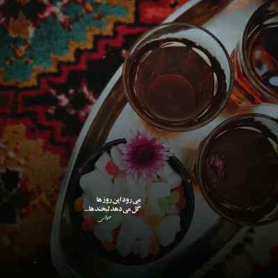 دانلود آهنگ  تو عشق ممنوعه قلب منی