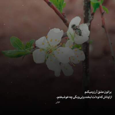 دانلود آهنگ یهو بزنه شب شه آسمون واسمون پر رنگ شه از دویار دانلود آهنگ یهو بزنه شب شه آسمون واسمون پر رنگ شه از دویار