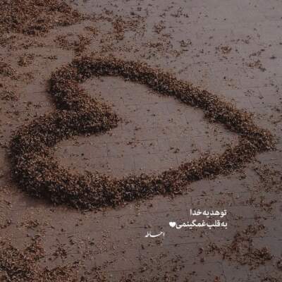 دانلود آهنگ  اشنای من من غریبم بی تو با صدای زن