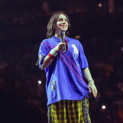 دانلود آهنگ  happier than ever با صدای billie eilish