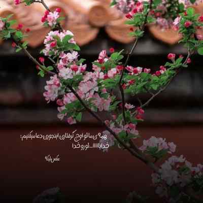 دانلود آهنگ لای لالای لای لای غمگین لری دانلود آهنگ لای لالای لای لای غمگین لری