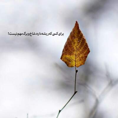 دانلود آهنگ  اﺑﺮوﻫﺎت ﻣﺜﻞ ﻛﻤﻮﻧﻪ ﻣﻮﻫﺎت ﻣﺜﻠﻪ ﻛﻤﻨﺪه